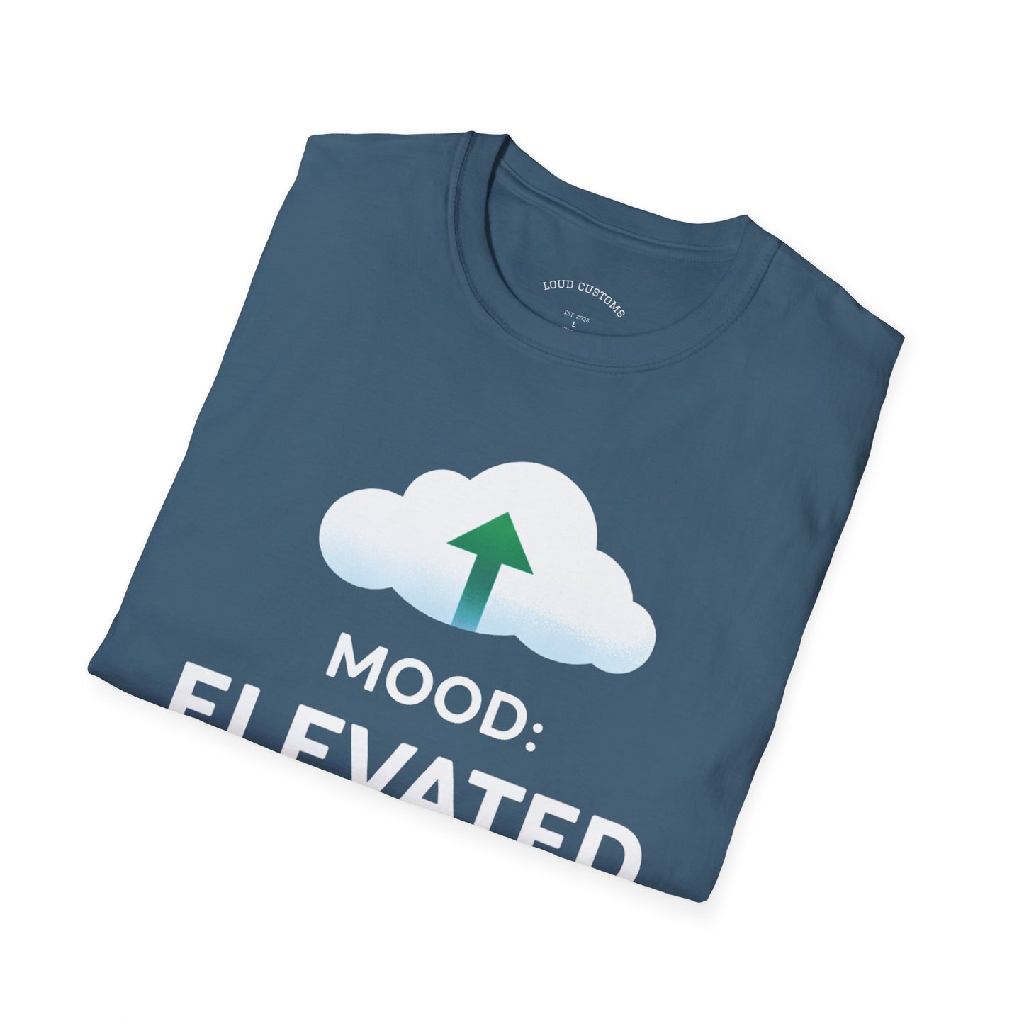 Mood: Elevated